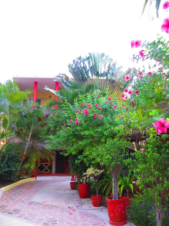 La Cruz Inn La Cruz de Huanacaxtle Exterior foto